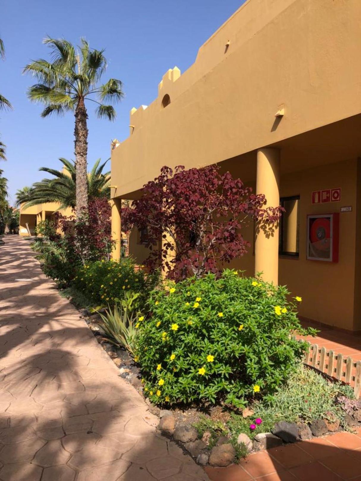 Casa Alice Lägenhet Corralejo Exteriör bild